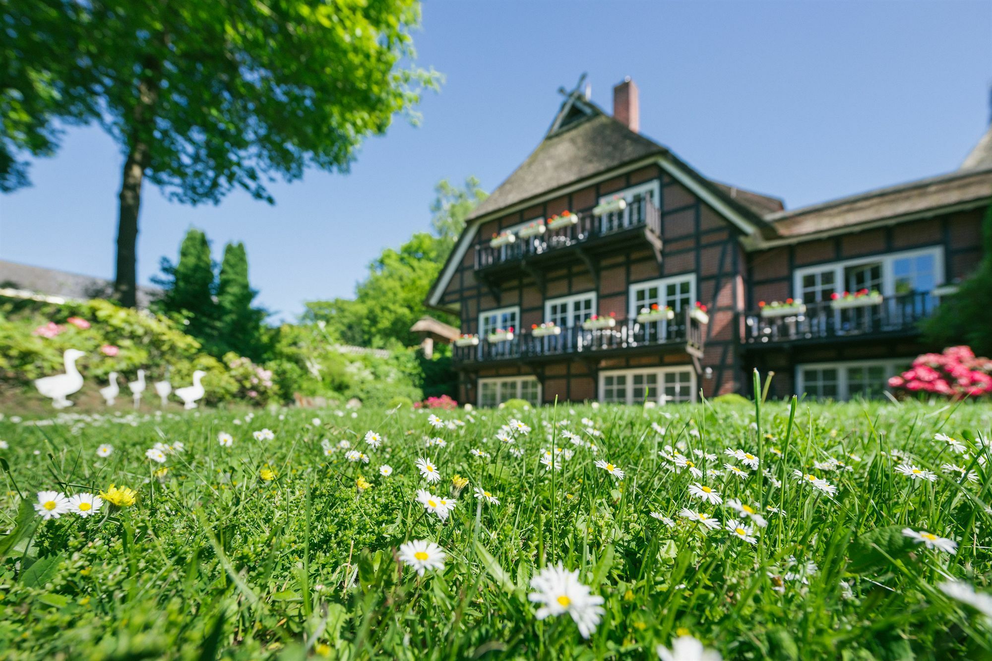 Hotel Landhaus Hoepen Шнефердінген Екстер'єр фото